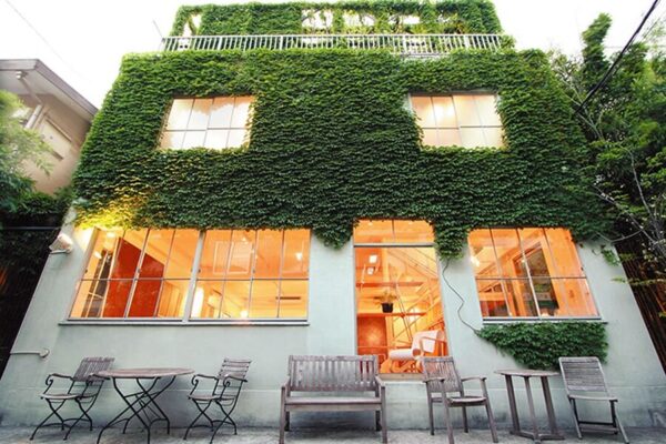 b698ece0581e70d39d97a3ad679f5940-1-900x600 b698ece0581e70d39d97a3ad679f5940-1-900x600