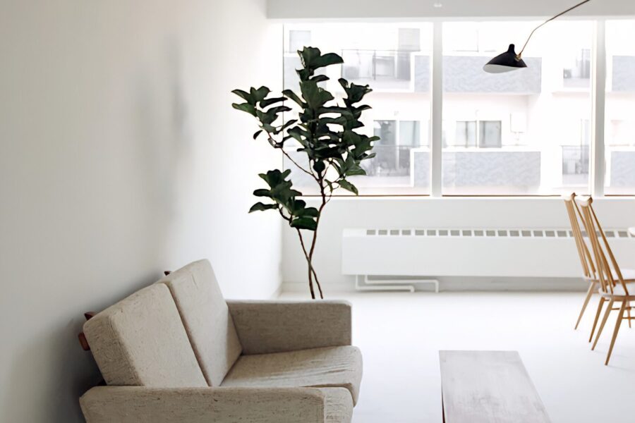 STUDIO FEM : 目黒にあるウッド調ハウススタジオ、白壁に白のソファ、観葉植物のあるリビングルーム