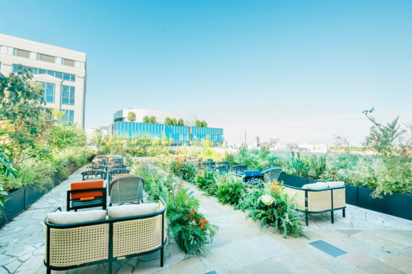 8F_omote_202309_053 表参道側のルーフトップテラス