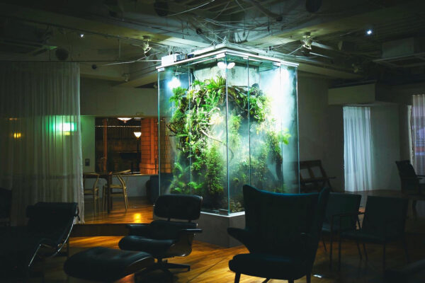 A0C40C46-2DE6-4EEF-BC20-38A2441 D90CC 巨大なパルダリウム