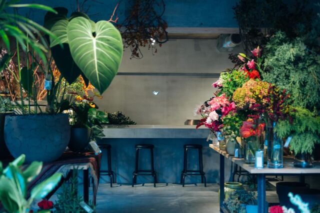 🎯ロケーションハンティング™️

◆麻布十番 / 赤羽橋◆
東京タワー近く、1階路面のお花屋さん。

東京タワーからも近い好立地の路面1階フローリスト店舗のご案内です。
ガラス張りで自然光豊富かつ視認性の高い環境、そして常時観葉植物を活用できるという独自の雰囲気を活かしての撮影利用やポップアップとしての利用にオススメの会場です。

【📍麻布十番駅 4分 / ◻️70㎡ / ¥20,000/h / 🆔：48041】

https://locationhunting.jp/48041

📙【会場掲載募集中】
会場の掲載ご相談はこちら。掲載無料、上質な会場だけを扱う会場予約サービスです
https://locationhunting.jp/join

📗【会場無料提案サービス】
会場お探しの方へ、即日会場提案。提案サービスご利用無料です
https://locationhunting.jp/suggest

📘【撮影】
独自の視点で厳選された人気オススメ会場一覧ページです。
https://locationhunting.jp/category/types/photo_studio